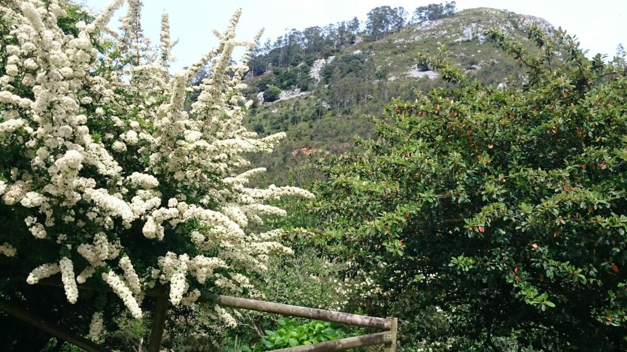Los Acebos De Pena Cabarga, Cupula Experiencias Sobremazas Εξωτερικό φωτογραφία