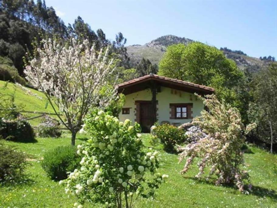 Los Acebos De Pena Cabarga, Cupula Experiencias Sobremazas Εξωτερικό φωτογραφία