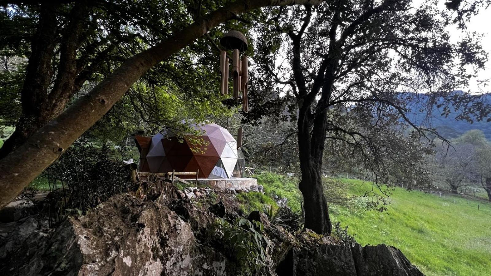 Los Acebos De Pena Cabarga, Cupula Experiencias Sobremazas Εξωτερικό φωτογραφία